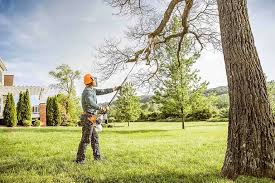 Best Utility Line Clearance  in Langhorne, PA