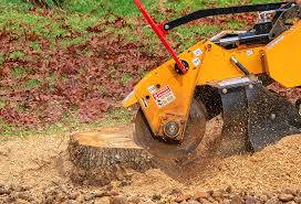 Best Soil Testing and Treatment  in Langhorne, PA